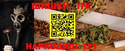 МДПВ Гатчина