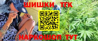 МДПВ Гатчина