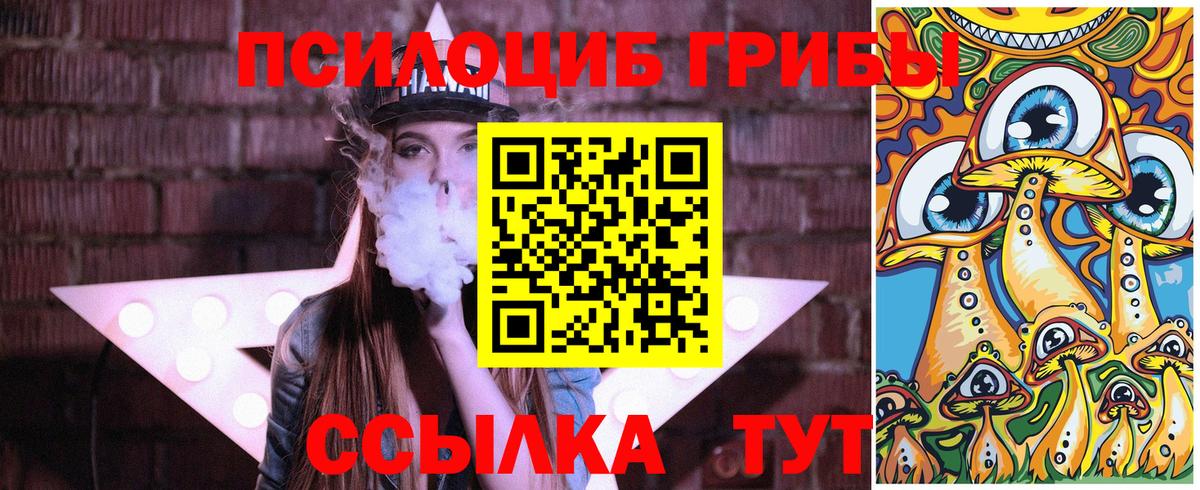Москва  Псилоцибиновые грибы Psilocybe  наркота  Вход с VPN  Псилоцибиновые грибы MAGIC MUSHROOMS 