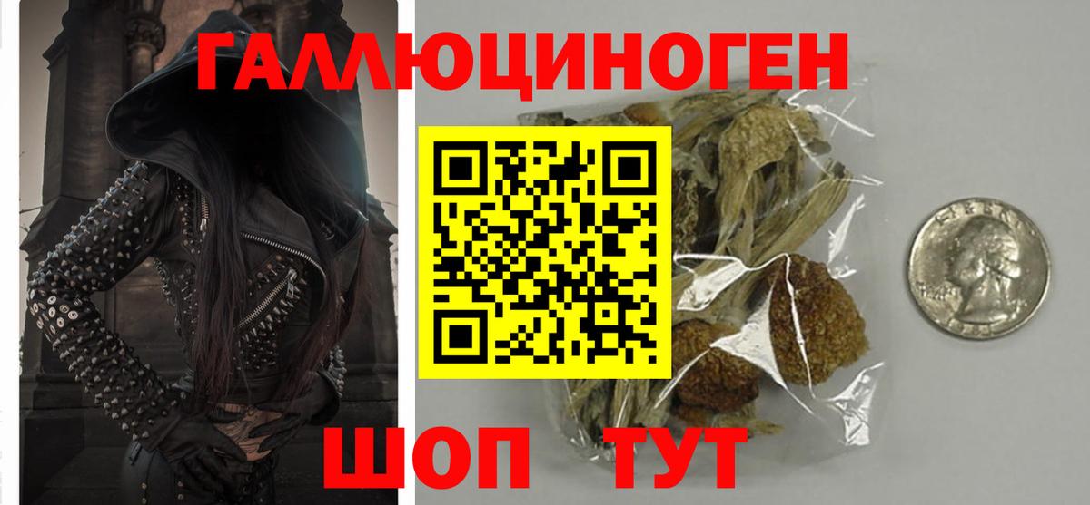 Псилоцибиновые грибы Psilocybine cubensis Москва