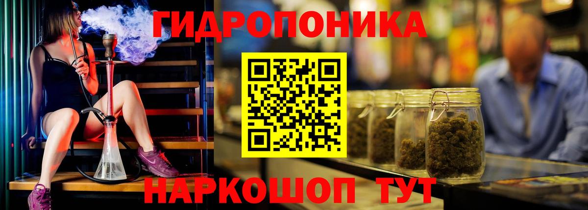 Каннабис сатива Москва